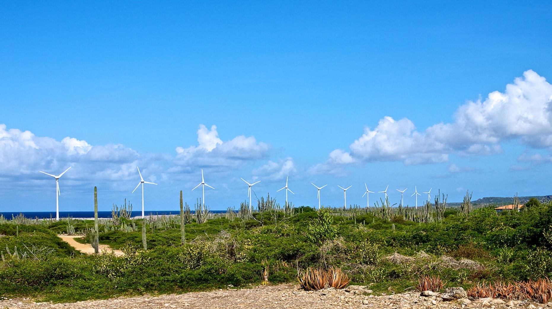 bonaire-wind-ngsversion-1513909000219-adapt-1900-1.jpg